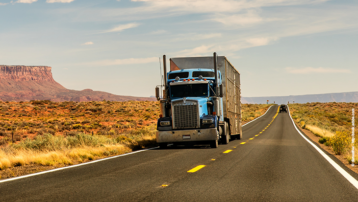 Freight truck.