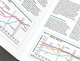 Graphs on paper.