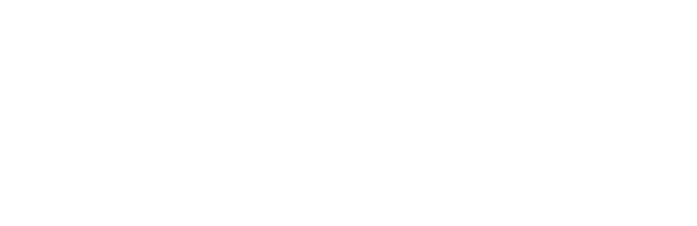 FLOW logo